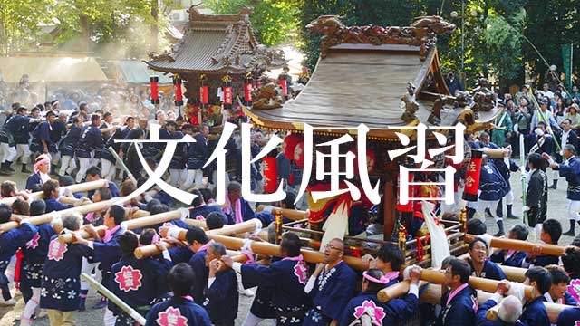 奈良県の文化風習の動画・写真を探す
