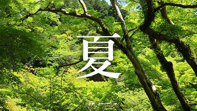奈良県の夏の動画・写真を探す