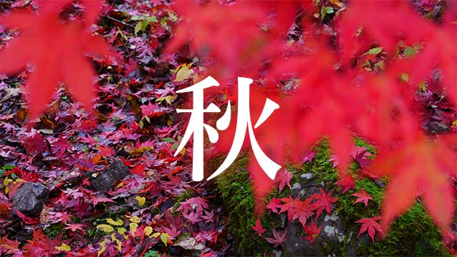 奈良県の秋の動画・写真を探す