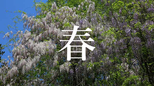 奈良県の春の動画・写真を探す
