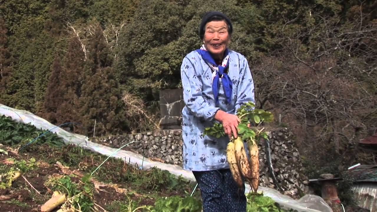 十津川村 神納川（3分53秒）｜美しき日本 奈良